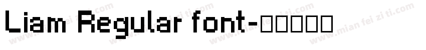 Liam Regular font字体转换